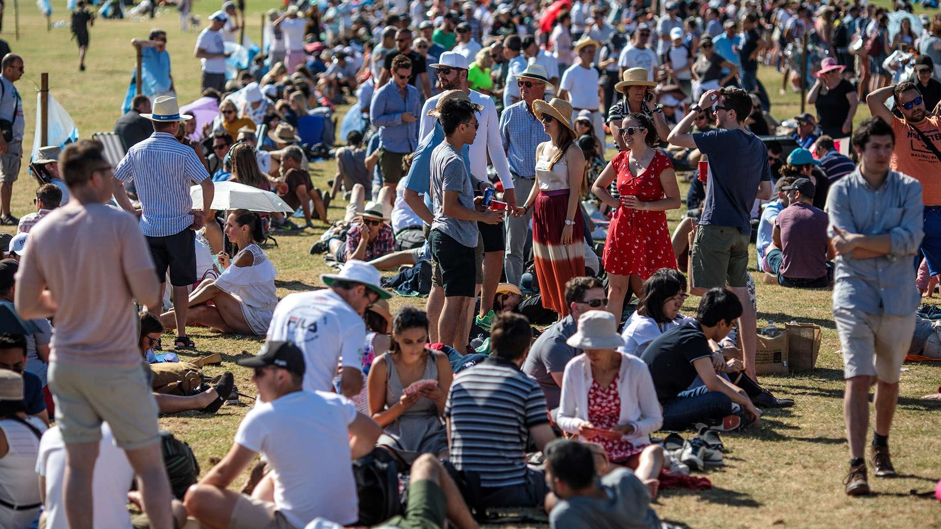 法兰克福队 法兰克福队