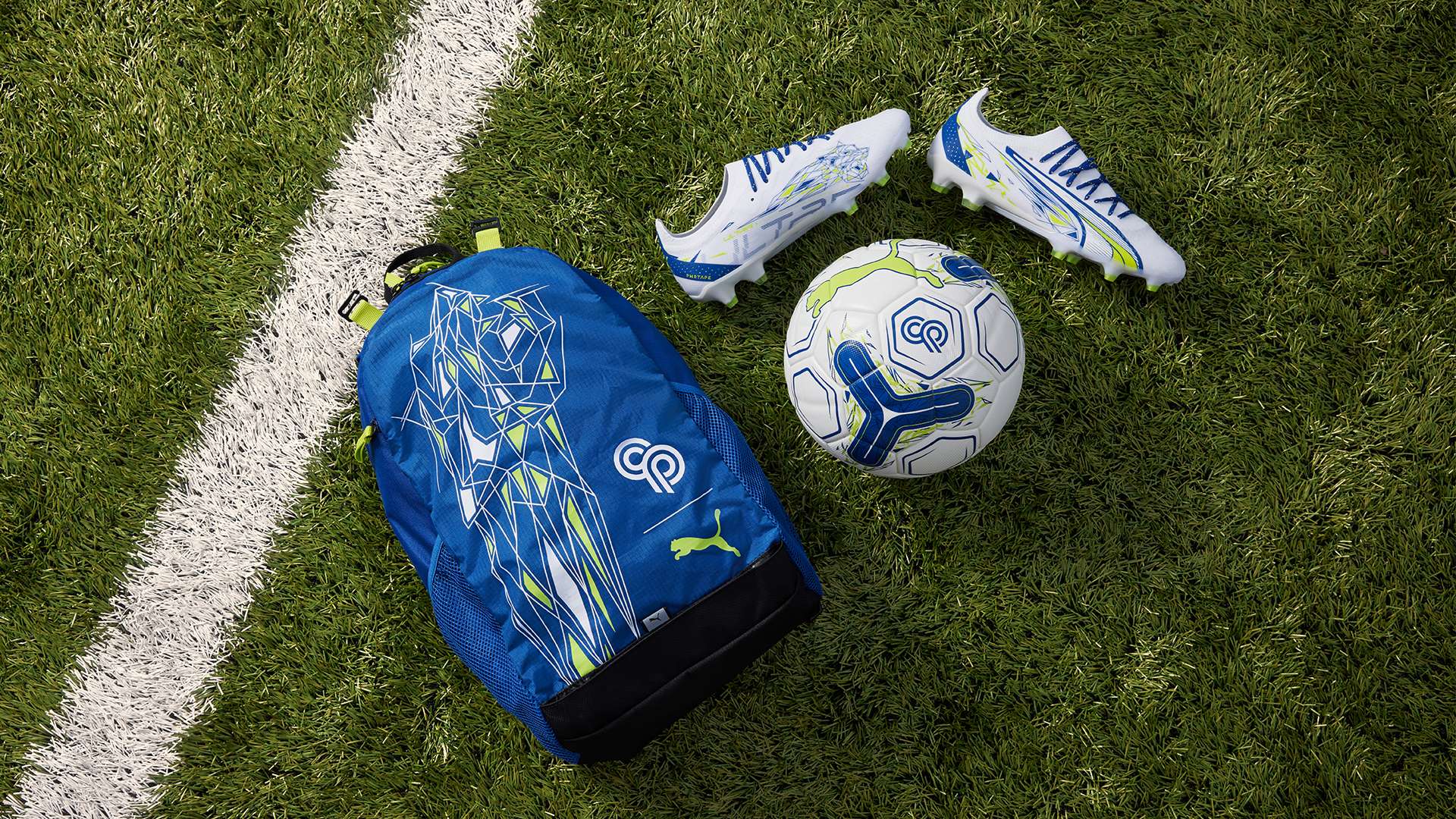 了很多努力 了很多努力